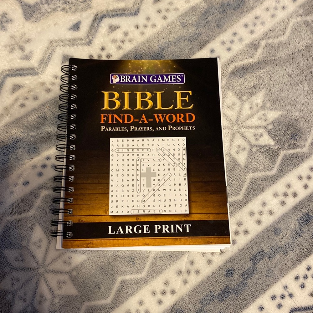 Brain Games Bible Find A Word Large Print